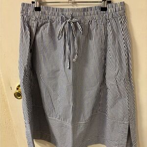 Striped Blue and White Women's Skirt
